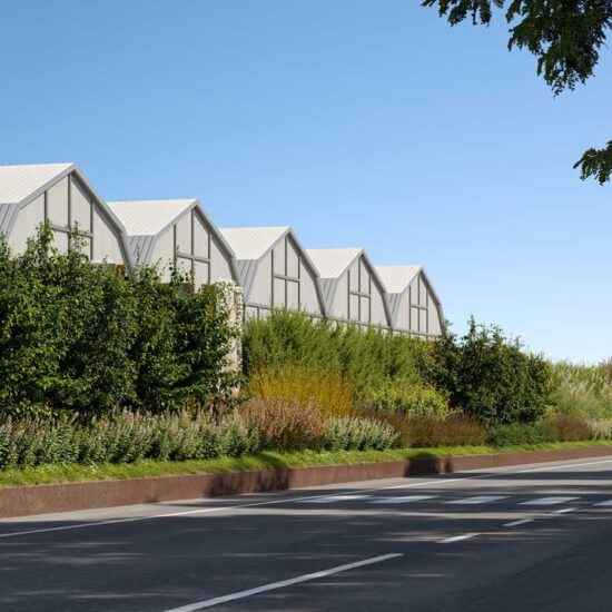 Parco Lineare Marazzi 007